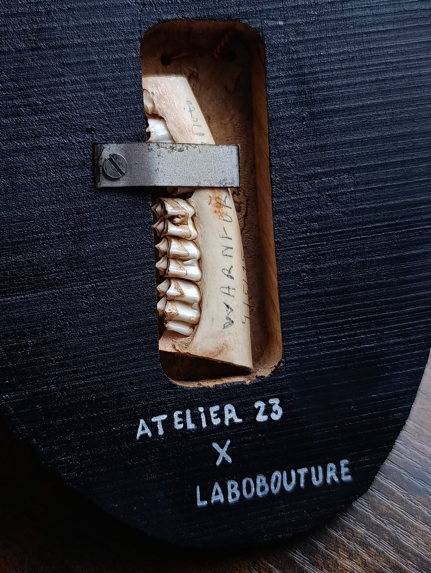 La collab' Atelier 23 X Labo Bouture