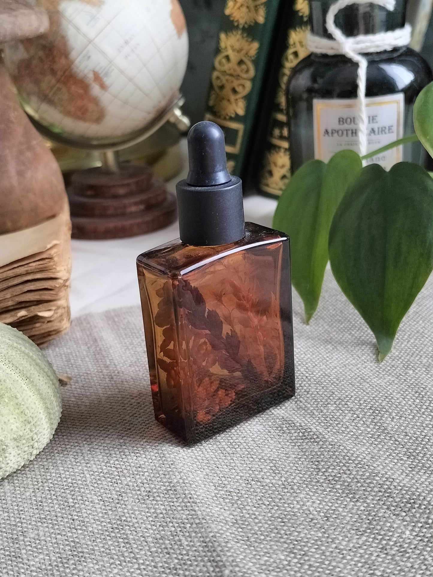 Botanica