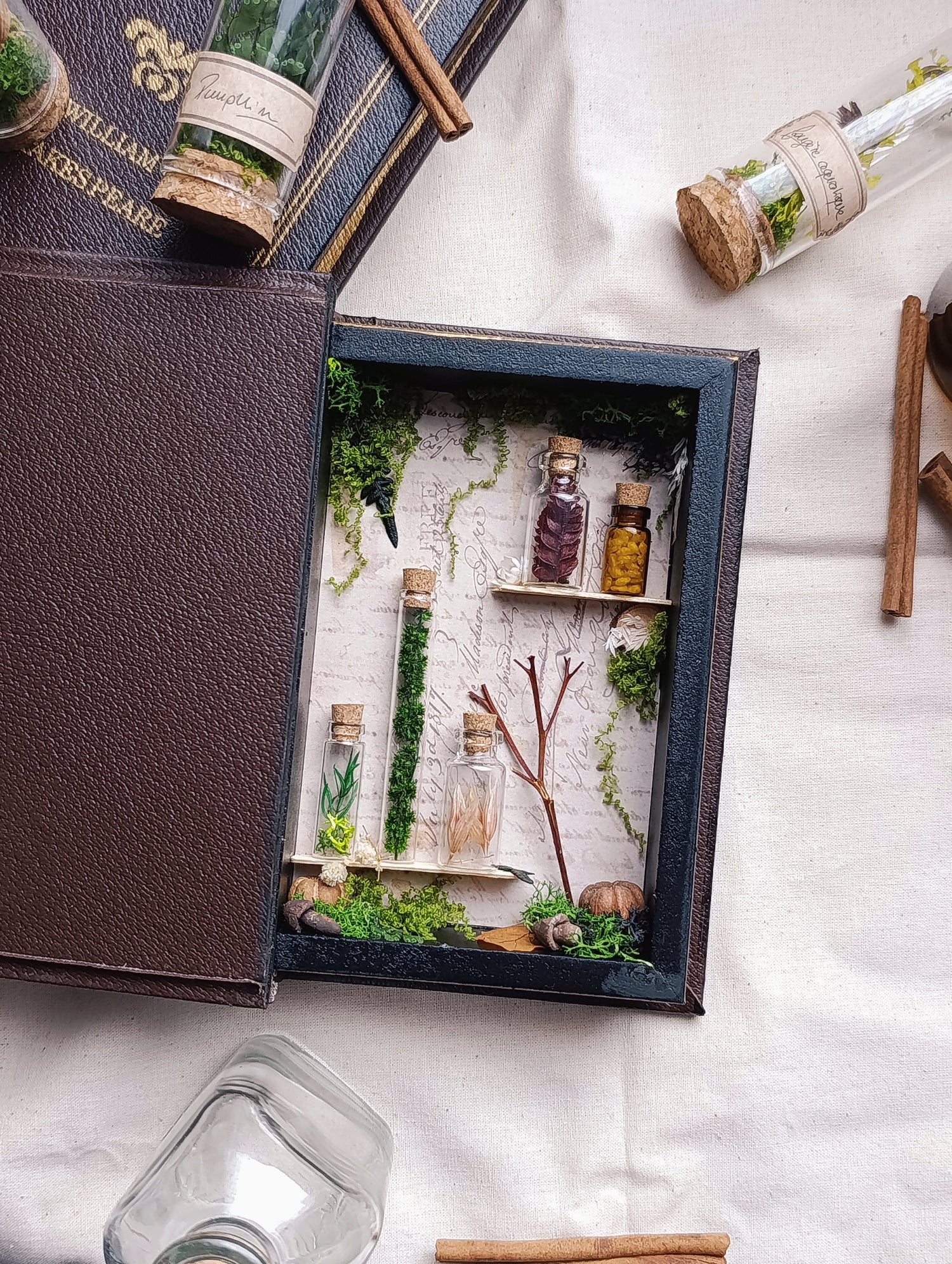 Collection Automne / Hiver