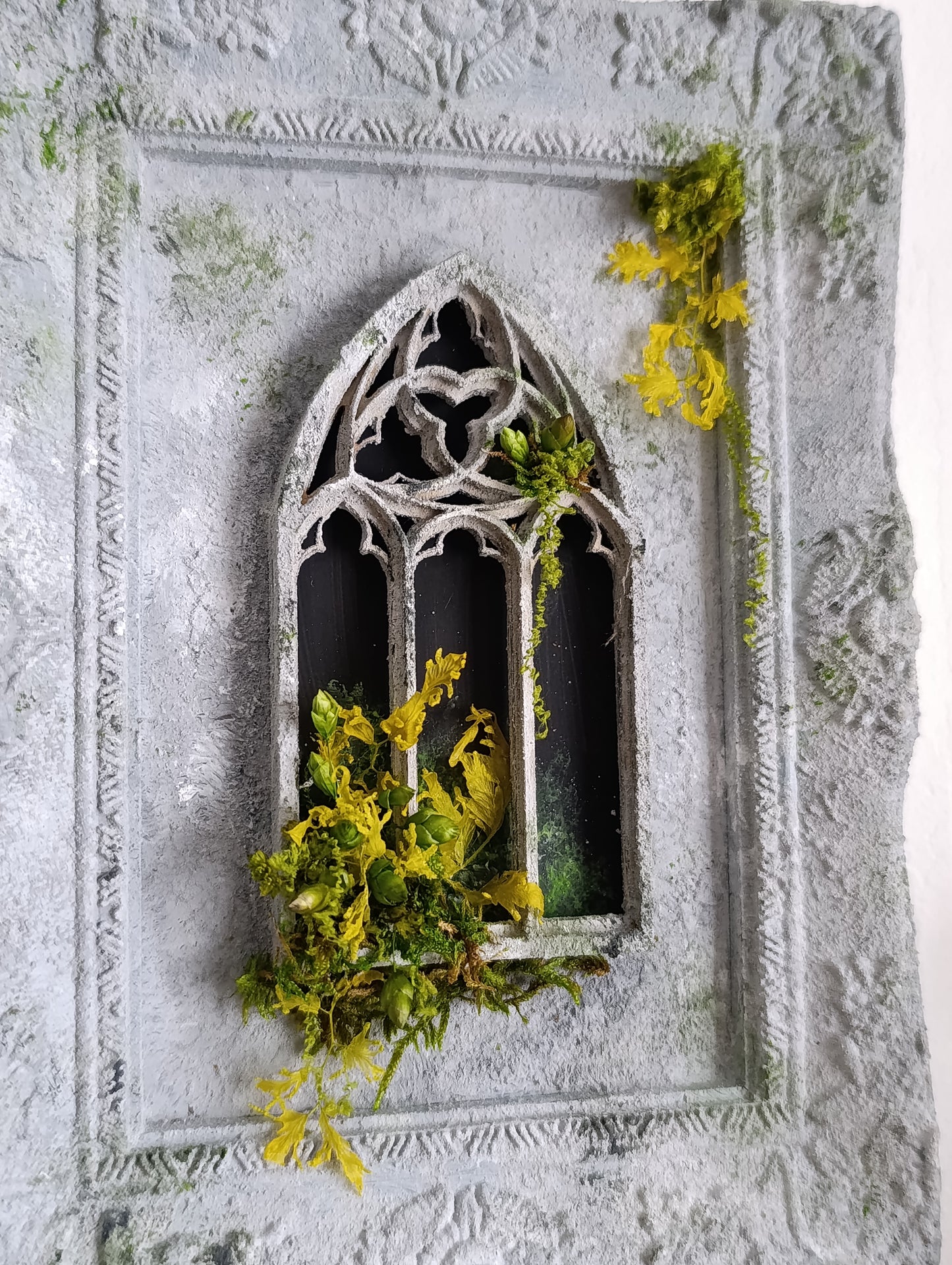 cadre fenêtre cathédrale en ruine avec végétaux