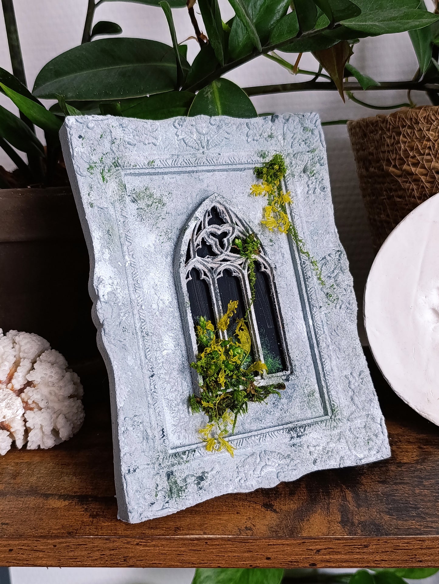 cadre fenêtre cathédrale en ruine avec végétaux