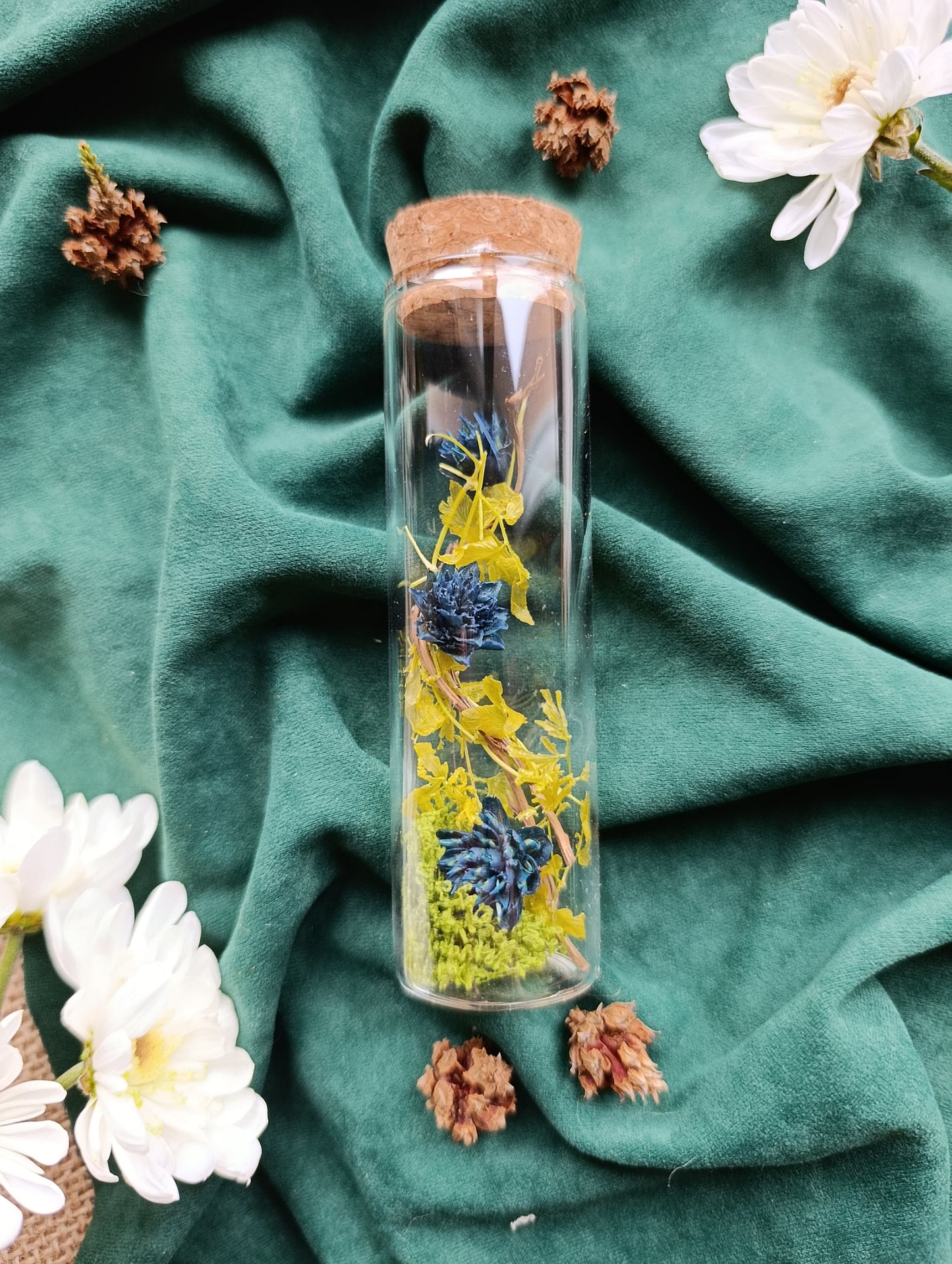 fiole végétale algues et fleurs bleues