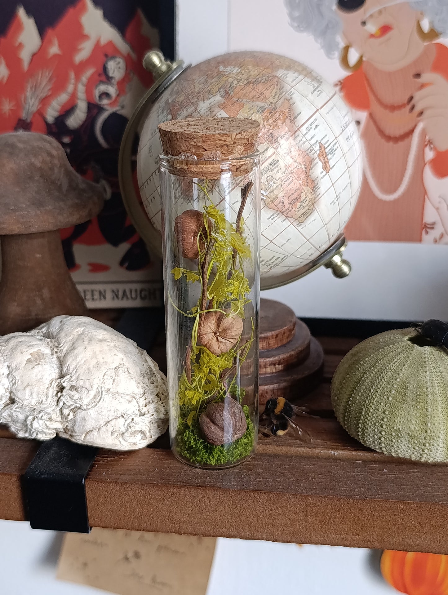 fiole végétale citrouille sur étagère