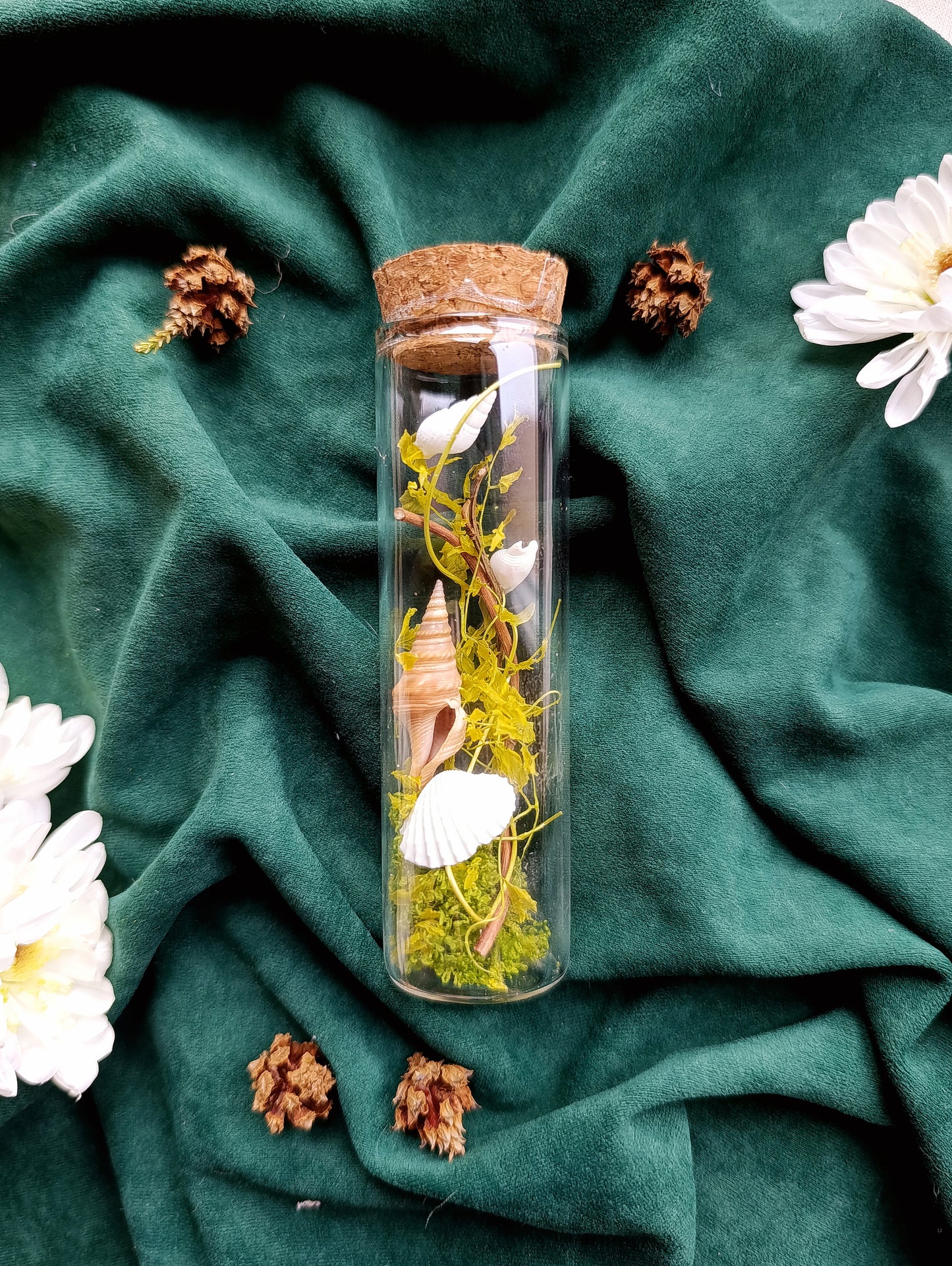 fiole végétale coquillages