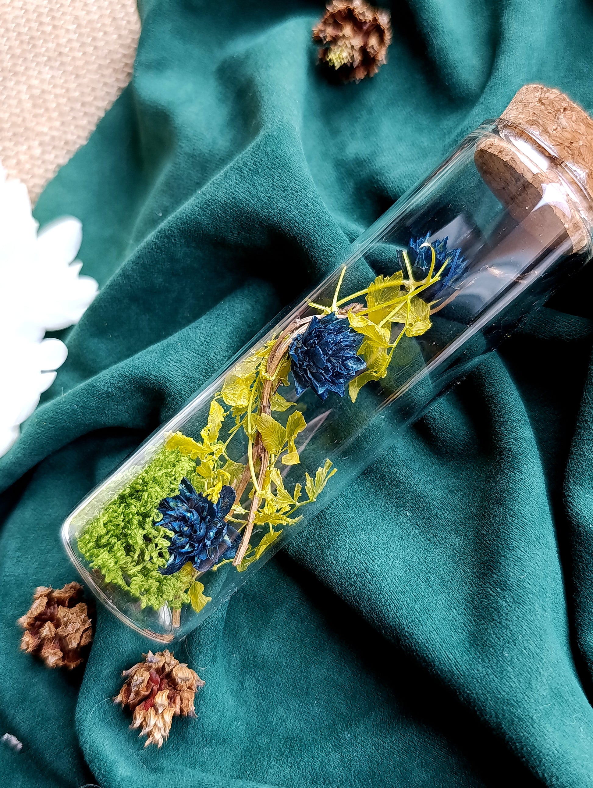 fiole végétale algue et fleurs bleues nuit