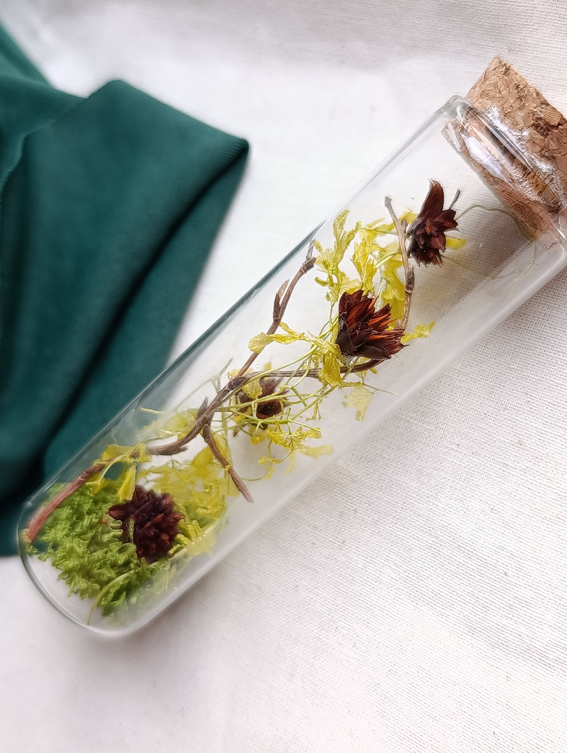 fiole végétale algue et fleurs bordeaux