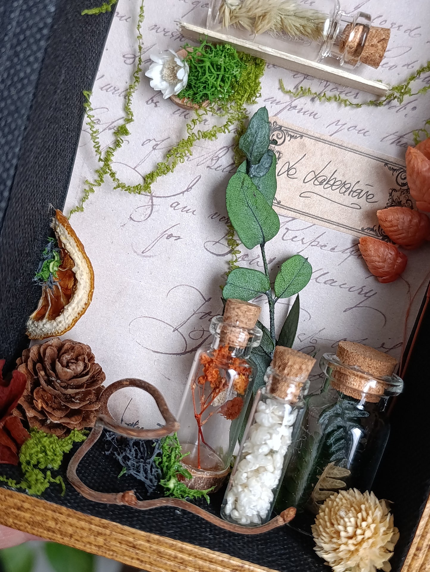 boite cabinet de curiosité fioles et fleurs séchées