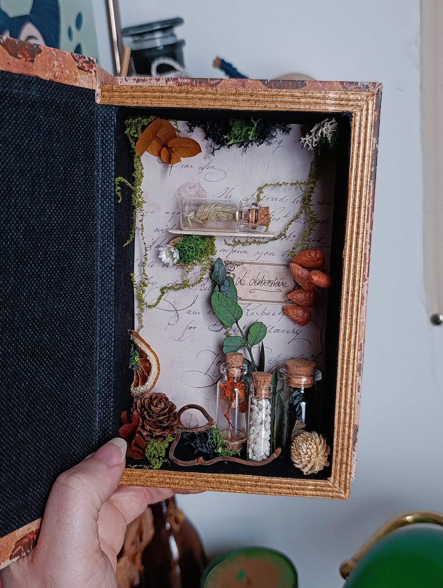 boite livre ouverte sur cabinet curiosité