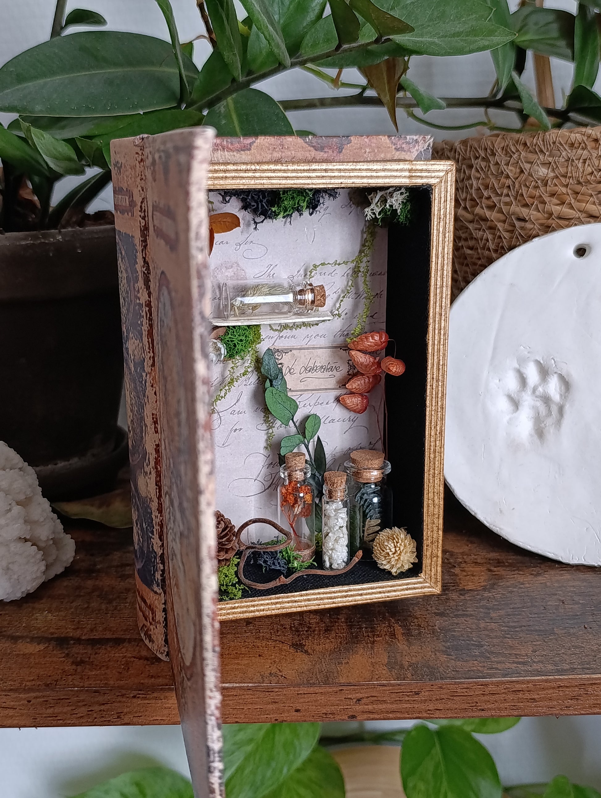 boite livre vintage cabinet curiosité