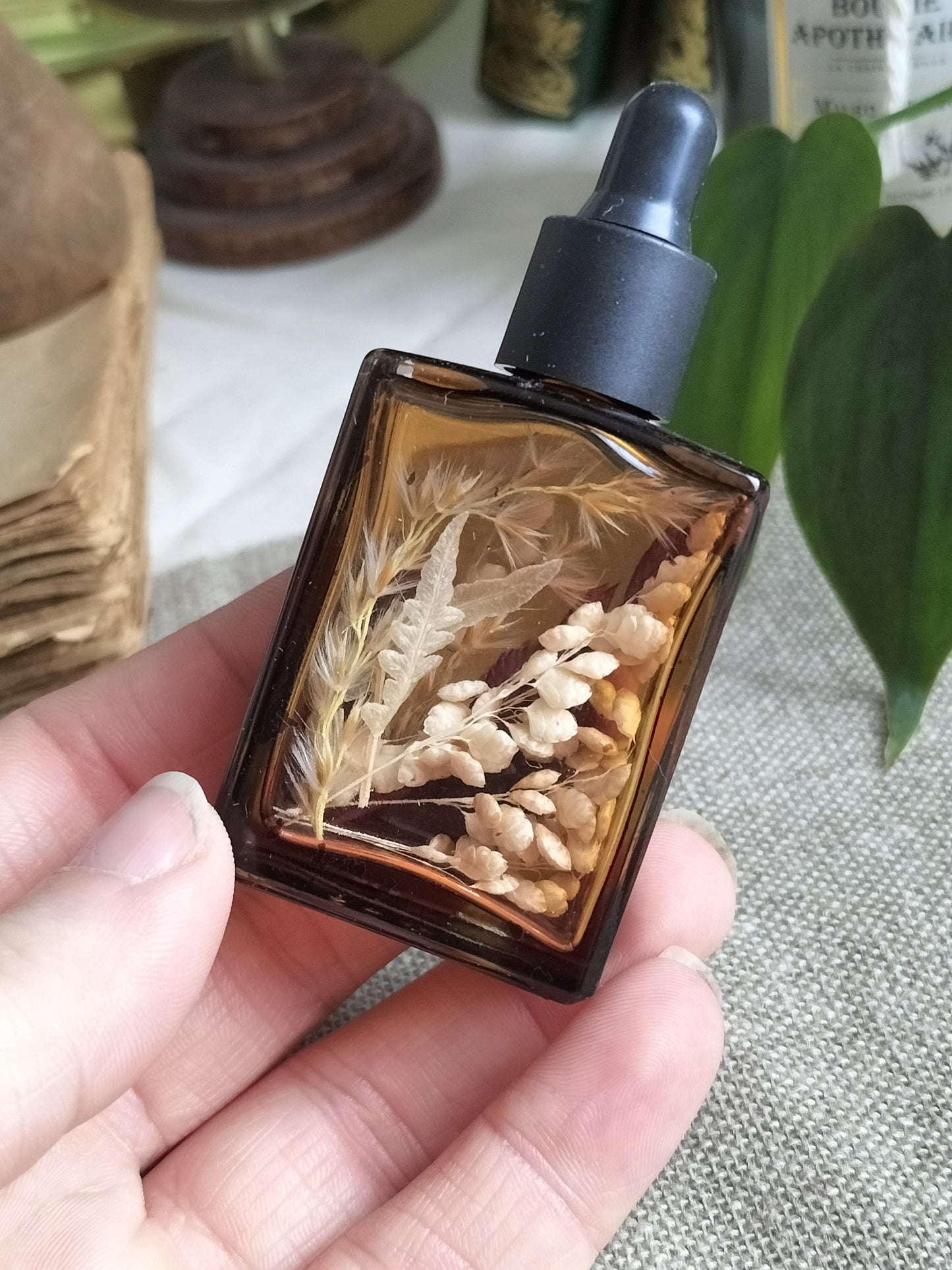Botanica